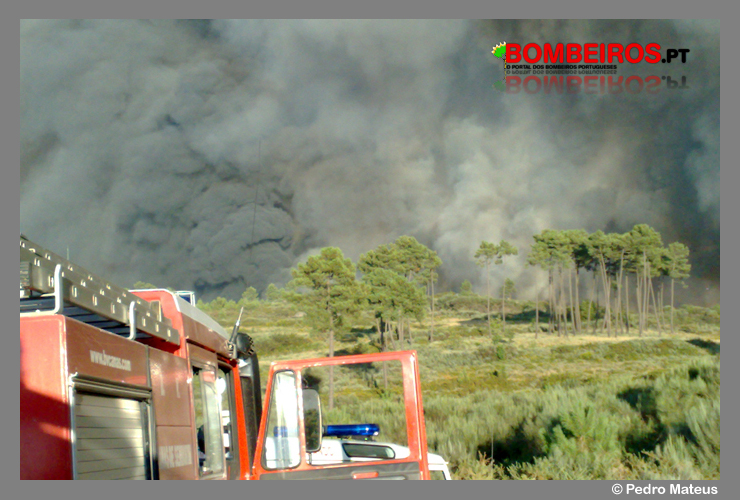 Imagem 46