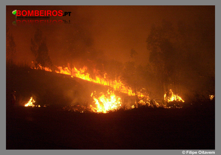 Imagem 585