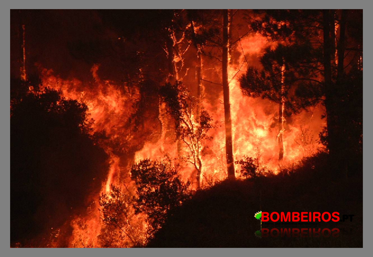 Imagem 48