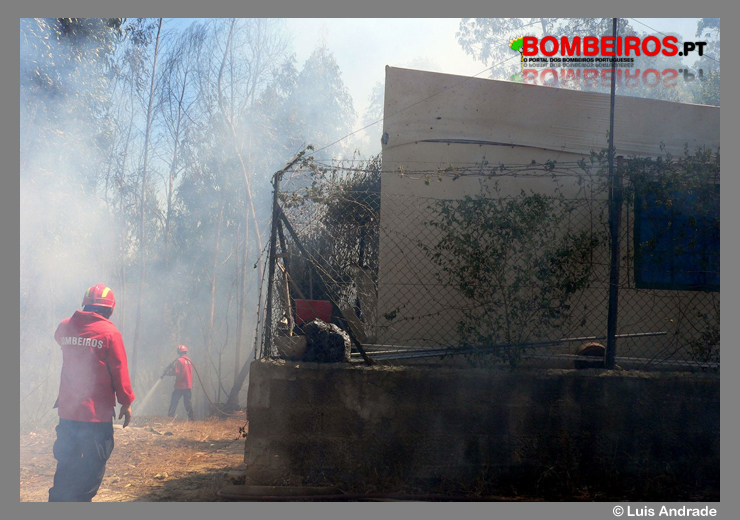 Imagem 12
