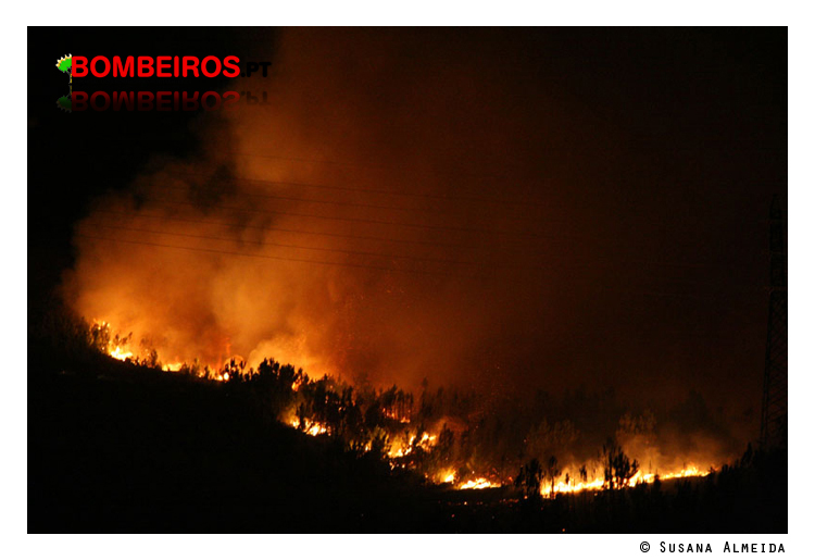 Imagem 10