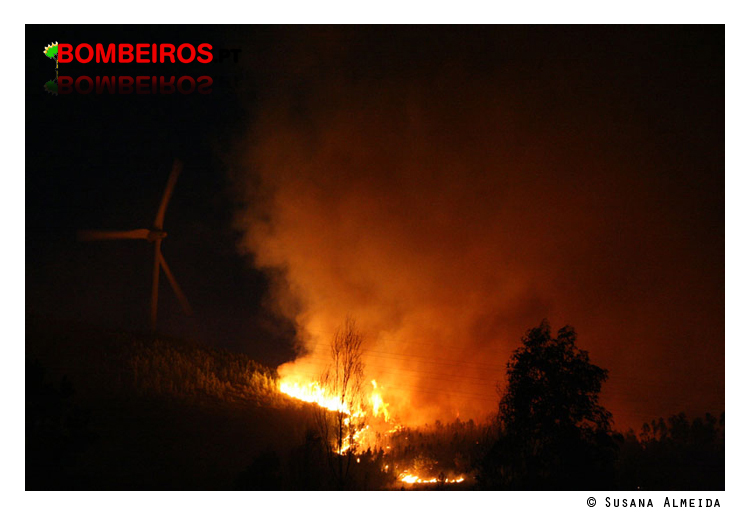 Imagem 06