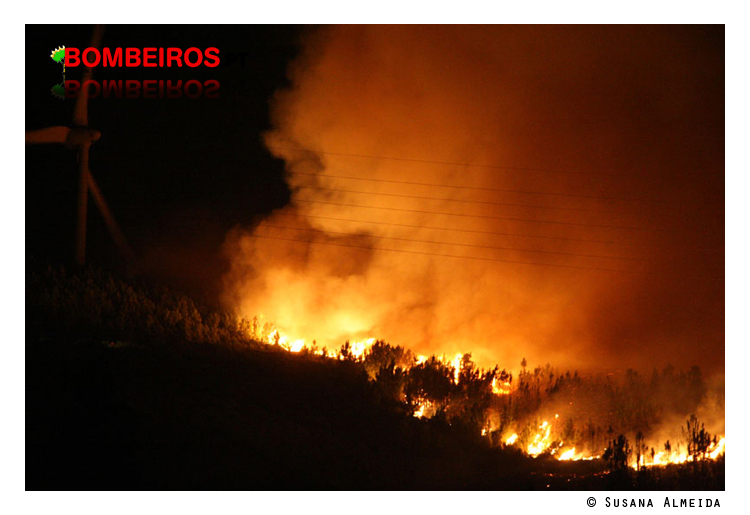 Imagem 09