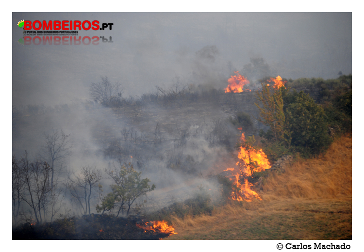Imagem 08