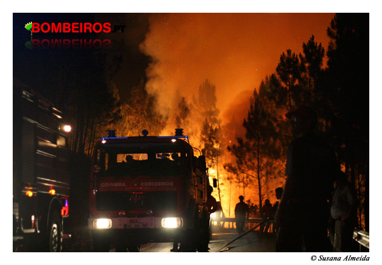 Imagem 16