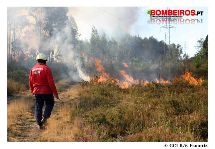 Imagem 28