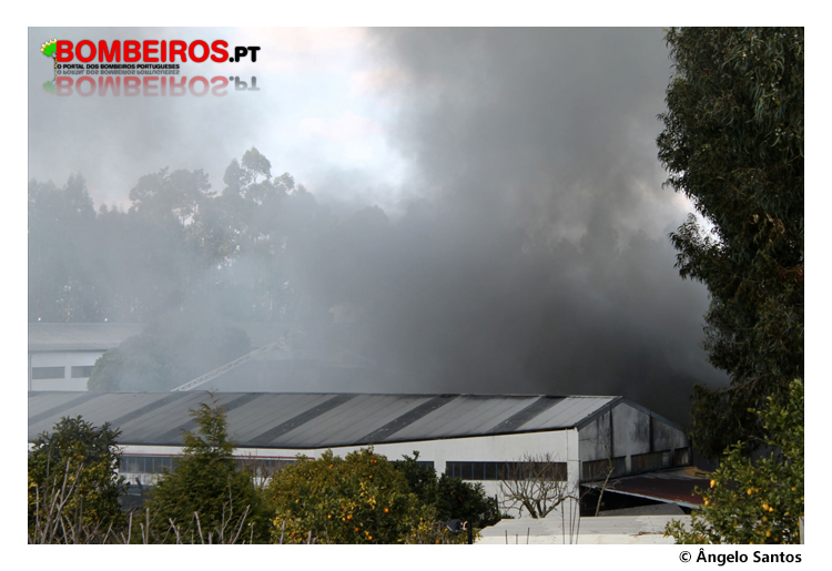 Imagem 01