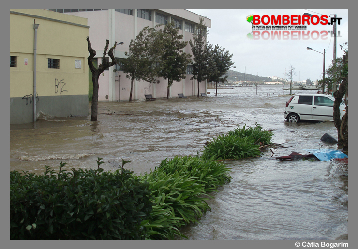 Imagem 44