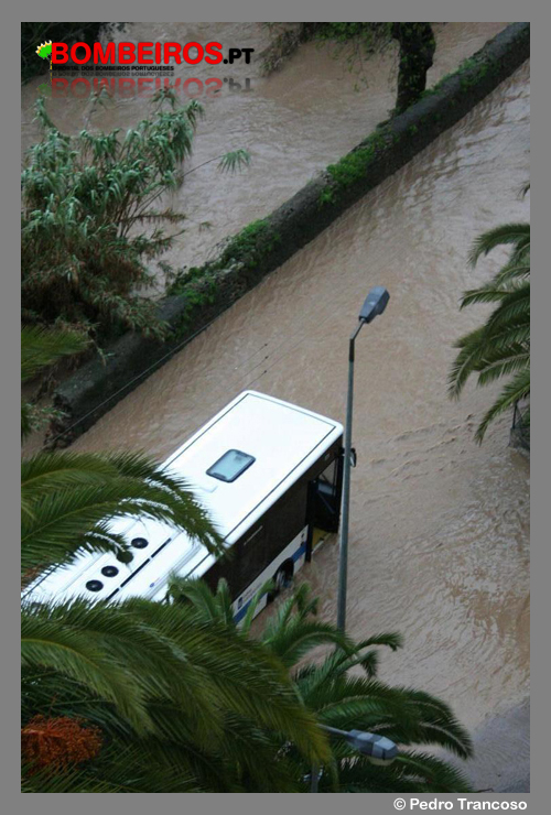Imagem 15
