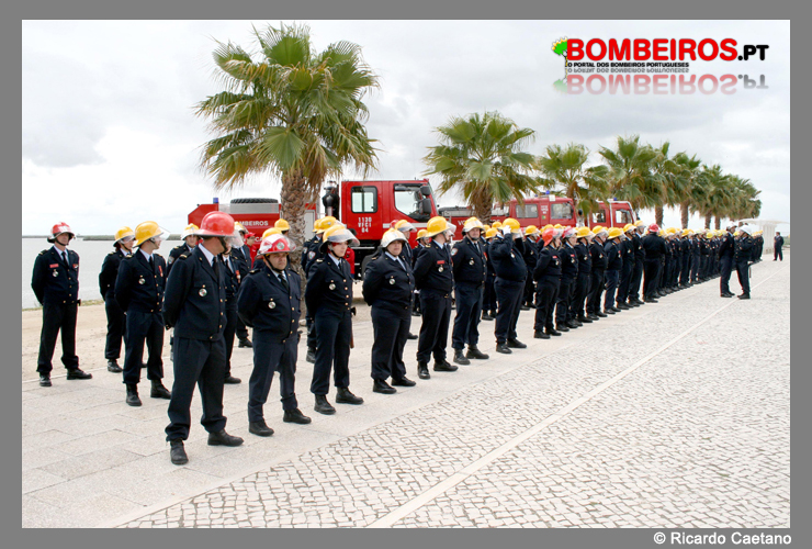 Imagem 11
