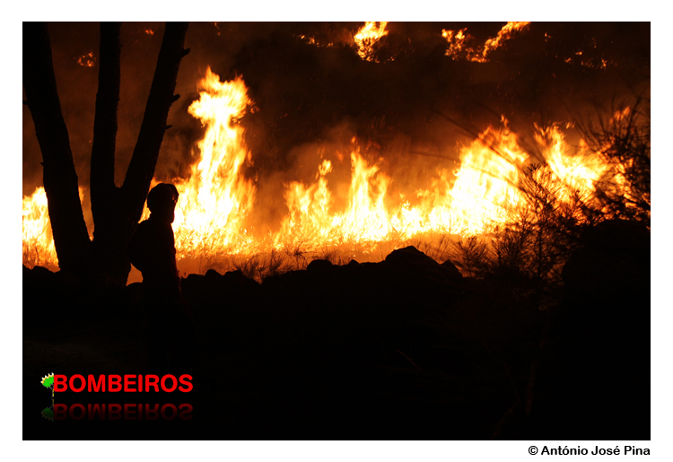 Imagem 116