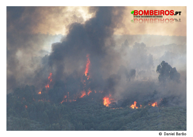 Imagem 282