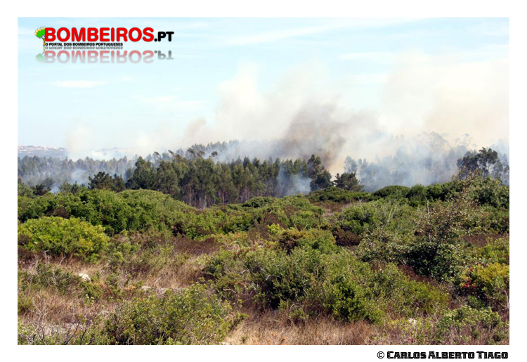 Imagem 01