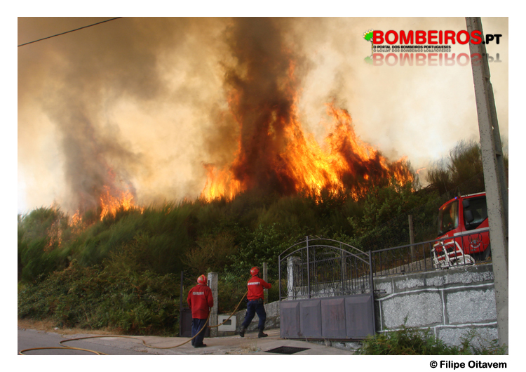 Imagem 17