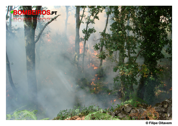 Imagem 24