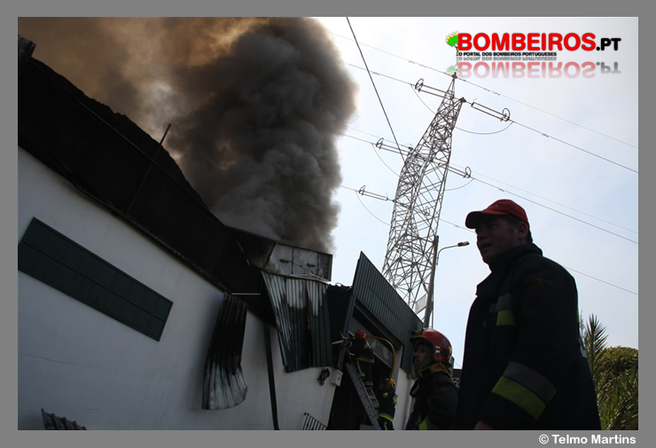Imagem 13
