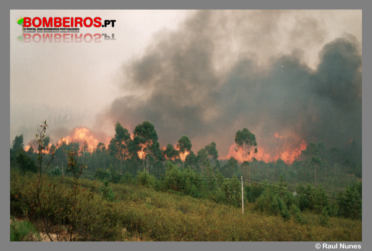 Imagem 49