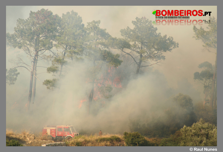 Imagem 15