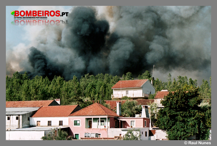Imagem 08