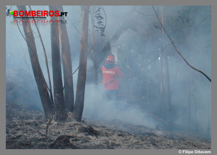 Imagem 22
