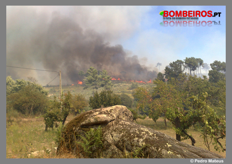 Imagem 42