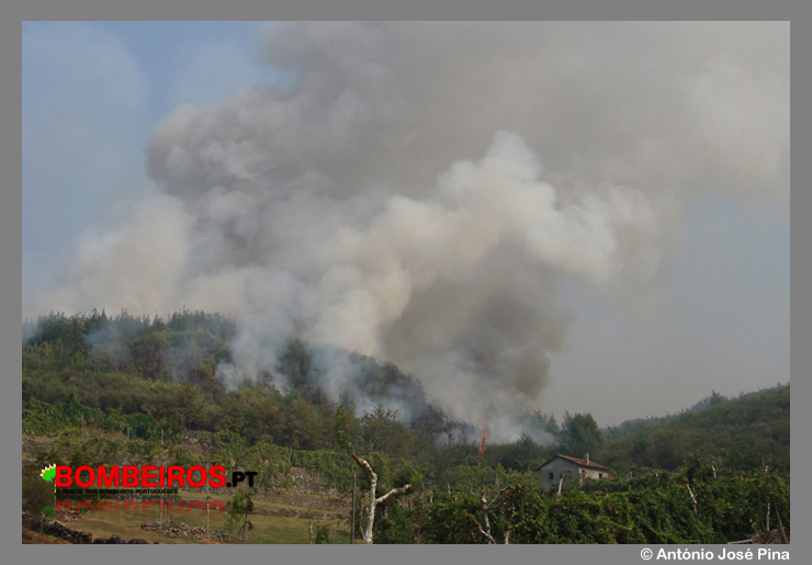 Imagem 12