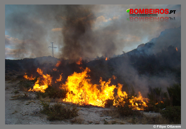 Imagem 68
