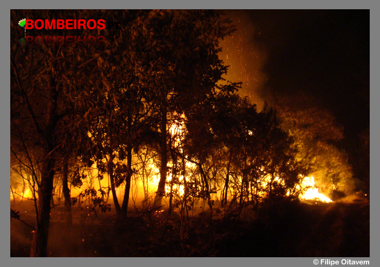 Imagem 76