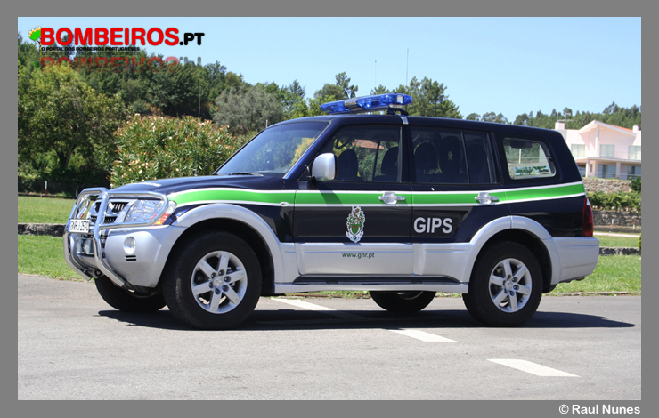 GIPS - G.N.R.
