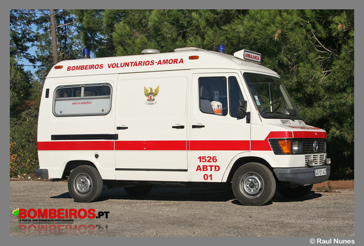 Amora - ABTD 01
