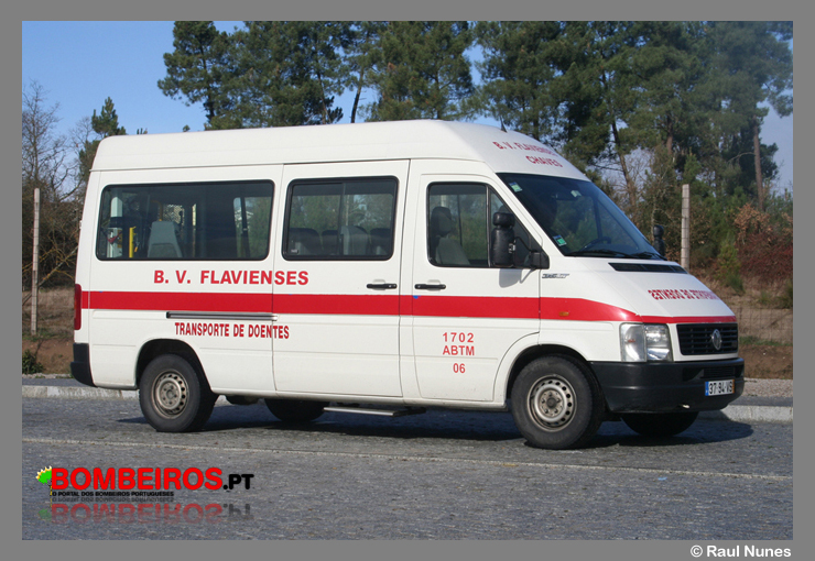 Flavienses - ABTM 06