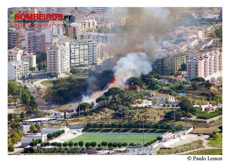 Imagem 931