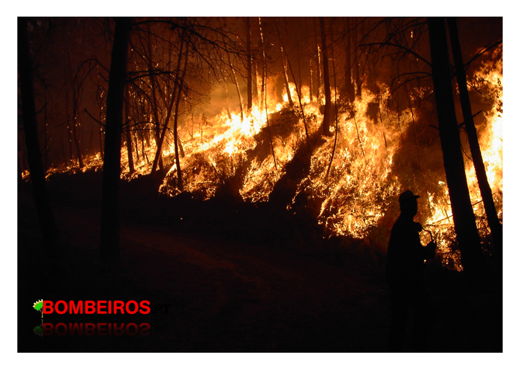 Imagem 938