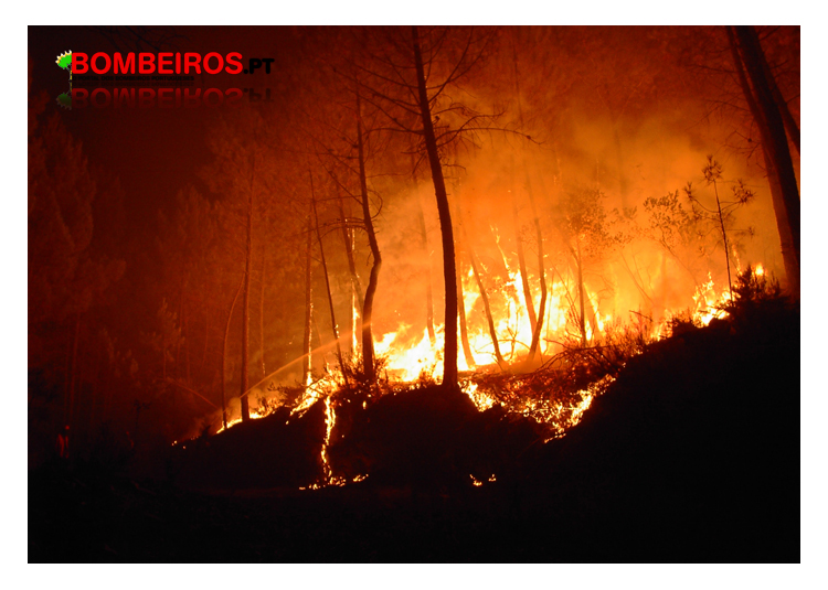 Imagem 957