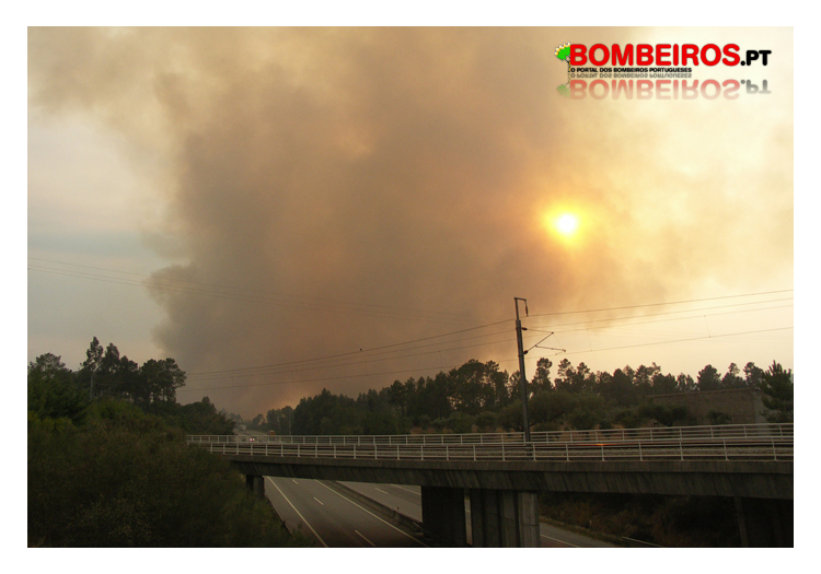 Imagem 967