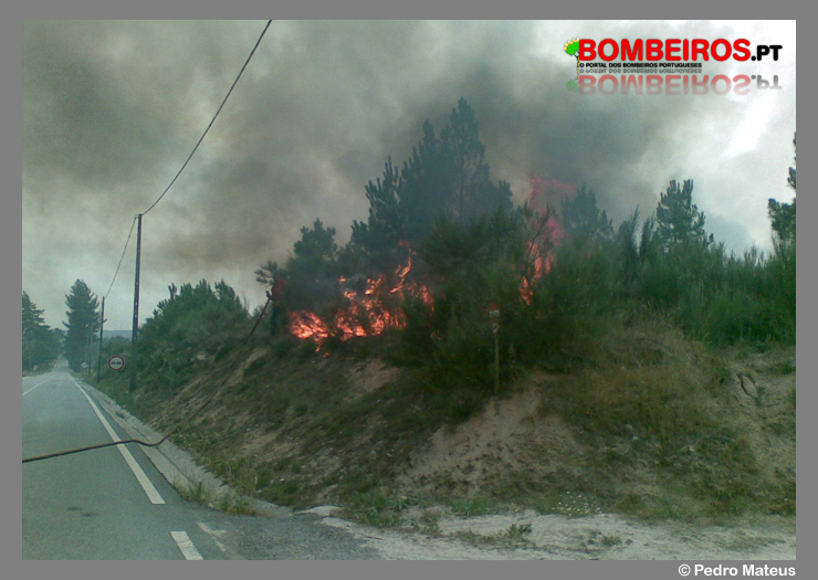 Imagem 271
