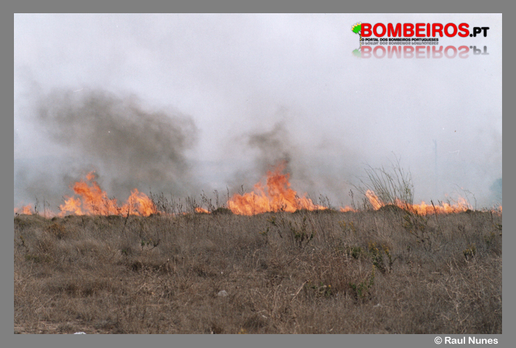 Imagem 311