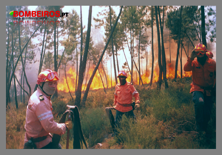 Imagem 501