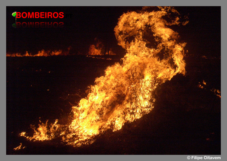 Imagem 582