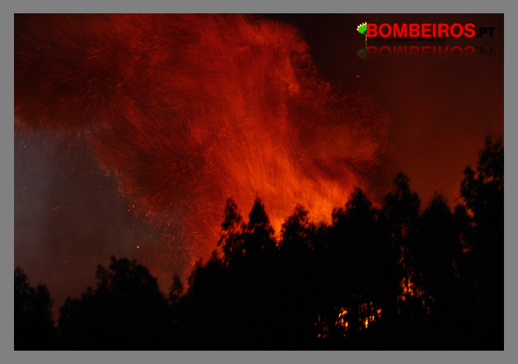 Imagem 732