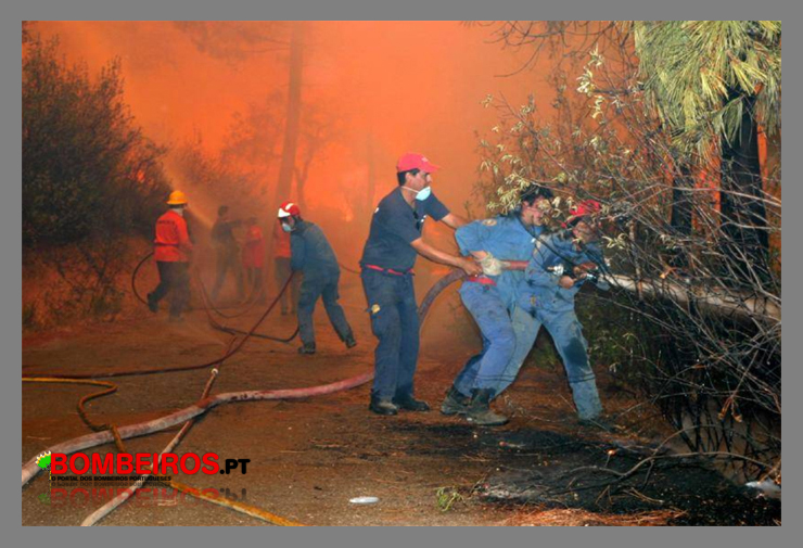 Imagem 17