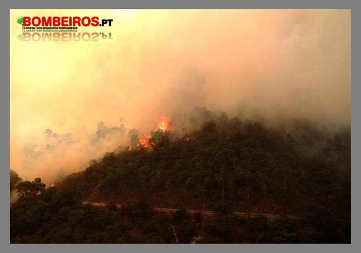 Imagem 39
