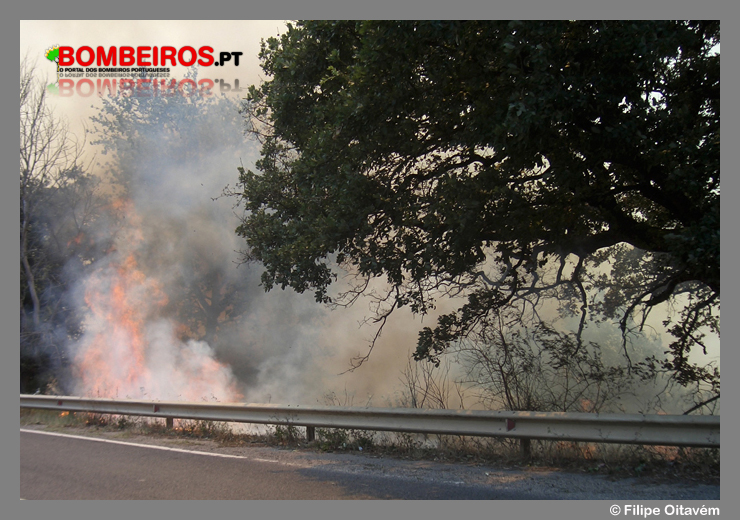 Imagem 07