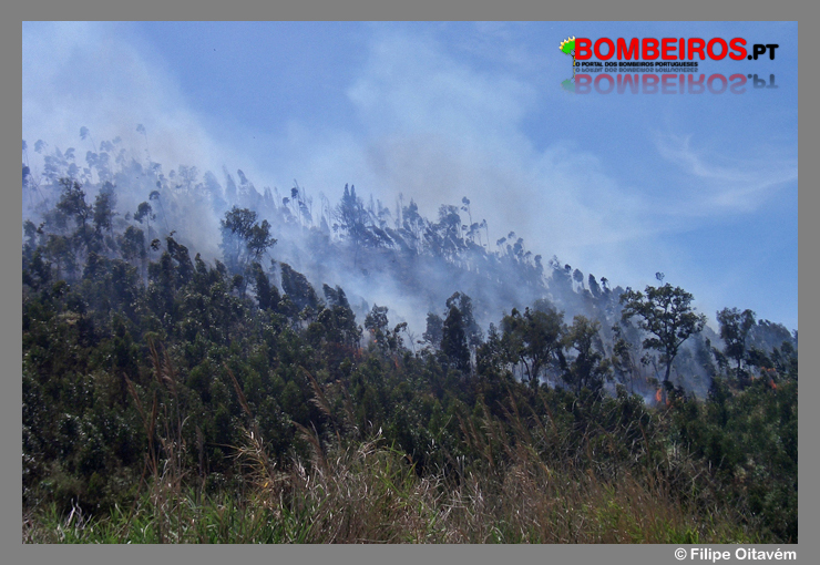 Imagem 21