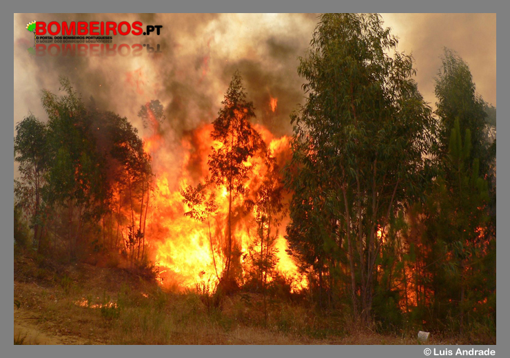 Imagem 03