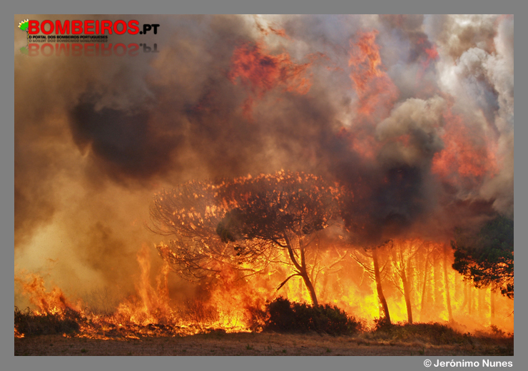 Imagem 05