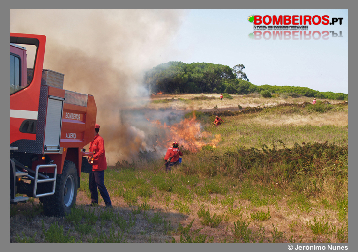 Imagem 11