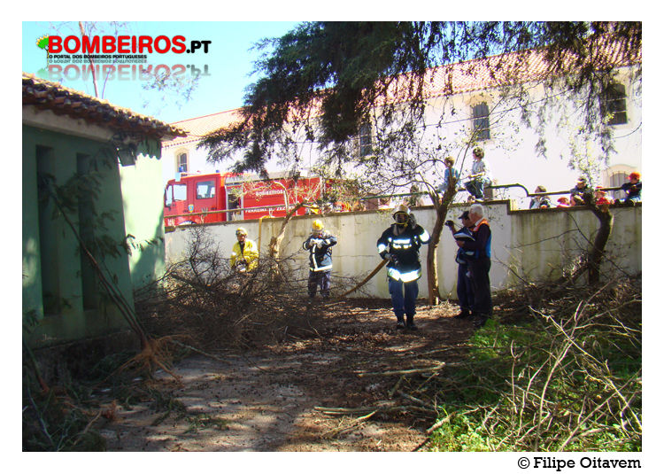 Imagem 52