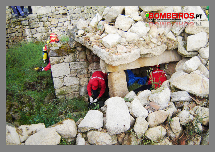 Imagem 03