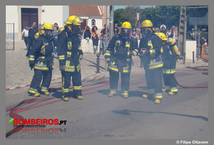 Imagem 11